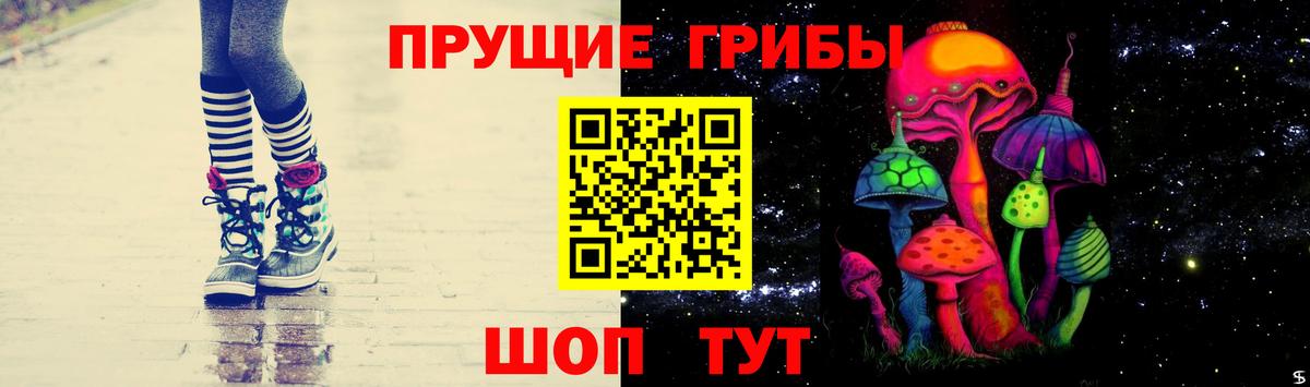 Галлюциногенные грибы Psilocybine cubensis  Вход с VPN  Городец 