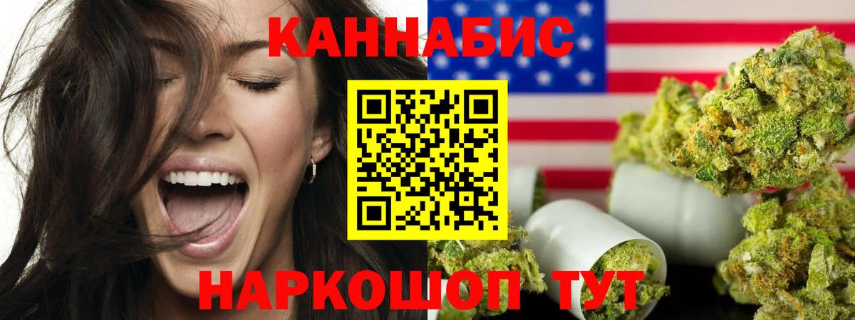 Бошки Шишки планчик Городец